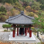 삼정사 야생녹차 - 구례 삼정사스님 산사의 편지 - 아미타불과 함께하는 마음의 고향 무주선원 삼정사 야생녹차