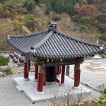 삼정사 야생녹차 - 구례 삼정사스님 산사의 편지 - 아미타불과 함께하는 마음의 고향 무주선원 삼정사 야생녹차