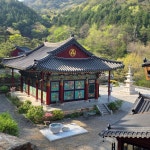 서원이 물흐르듯 - 구례 삼정사스님 산사의 편지 - 아미타불과 함께하는 마음의 고향 무주선원 서원이 물흐르듯