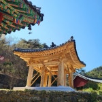 아이들의 성장통은 보약 - 구례 삼정사스님 산사의 편지 - 아미타불과 함께하는 마음의 고향 무주선원 아이들의 성장통은 보약