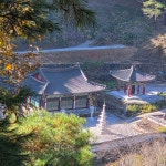 다양한 경험들이 스승인줄 - 구례 삼정사스님 산사의 편지 - 아미타불과 함께하는 마음의 고향 무주선원 다양한 경험들이 스승인줄