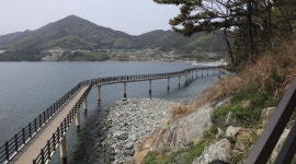 2025.4.19 [코리아둘레길45선 2차] 남파랑길20코스... 19 [코리아둘레길45선 2차] 남파랑길20코스 : 장승포시외버스터미널... 