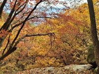 만산 홍협 운악산에서 - 산행후기 - 산바람 야생화 향기 만산 홍협 운악산에서