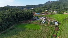 서산 팔봉면 어송리 전원주택 부지 매매 매매금액 재인하 - 1억미만... 꿈의 귀촌! 서산 팔봉면 어송리 전원주택 부지 매매 매매금액 재인하