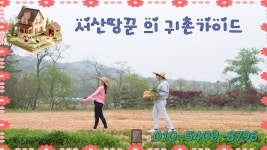귀촌/귀농을 꿈꾸는 당신에게 추천! - 1억미만(토지매물) - 서산땅꾼 귀촌 가이드 서산토지사랑 팔봉면 금학리, 남향 관리지역 전 매물! 귀촌... 