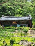 2025 6 17 명승1호 소금강 - ※♣....산사랑 산악회 - 중랑산사랑산악회 2025 6 17 명승1호 소금강