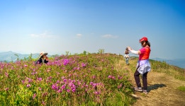 추억만들기 - 풍경.야경 갤러리 - 부산 개인택시 사진 동호회 추억만들기