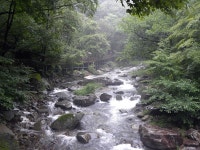 장수 방화동 생태길 - 전국둘레길앨범 - 경기 하나 산악회 장수 방화동 생태길