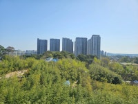 강릉바우길14구간 - 전국둘레길앨범 - 경기 하나 산악회 강릉바우길14구간