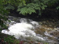 장수 방화동 생태길 - 전국둘레길앨범 - 경기 하나 산악회 장수 방화동 생태길