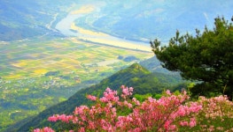 27년5월정기산행=형제봉= 해발 1,115m 장관 분홍빛 철쭉 절경=하동 10경 중 제5경 - 💚정기산행예정지💚 - 부산 개미산악회 051-466-7633... 