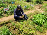 자연체험 주말농장 6월 13일, 16일 - 【망】체험홈앨범 - 상록수장애인자립생활센터 자연체험 주말농장 6월 13일, 16일