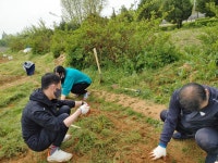 2021.04.28 자립생활기술훈련-자연체험(주말농장) - 【망】체험홈앨범 - 상록수장애인자립생활센터 2021.04.28 자립생활기술훈련-자연체험... 