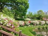 경기도 구리시 장자호수생태공원 황톳길 여행. - 수도권 명소 여행 - 삼삼LOVE 경기도 구리시 장자호수생태공원 황톳길 여행.