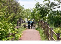 부안 변산마실길 5코스, 모항 갯벌 체험길 - 전국둘레길앨범 - 경기 하나 산악회 부안 변산마실길 5코스, 모항 갯벌 체험길