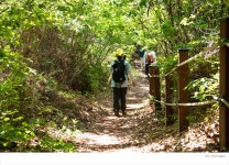 부안 변산마실길 5코스, 모항 갯벌 체험길 - 전국둘레길앨범 - 경기 하나 산악회 부안 변산마실길 5코스, 모항 갯벌 체험길