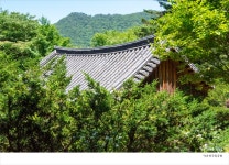 전북천리길(무주 구천동 어사길) - 전국둘레길앨범 - 경기 하나 산악회 전북천리길(무주 구천동 어사길)