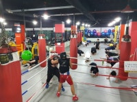 #기능성향상#운동능력향상 - 운동사진 - 슈퍼스타짐본관 (킥복싱다이어트,복싱,헬스,무에타이.) #기능성향상#운동능력향상