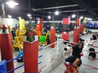 #기능성향상#운동능력향상 - 운동사진 - 슈퍼스타짐본관 (킥복싱다이어트,복싱,헬스,무에타이.) #기능성향상#운동능력향상