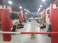 월요일부터 시작하면 효과가 좋습니다 - 운동사진 - 슈퍼스타짐본관 (킥복싱다이어트,복싱,헬스,무에타이.) 월요일부터 시작하면 효과가 좋습니다