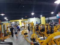 여름을 미리 대비해야 성공 할 수 있습니다 - 운동사진 - 슈퍼스타짐본관 (킥복싱다이어트,복싱,헬스,무에타이.) 여름을 미리 대비해야 성공 할 수... 