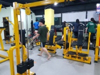 칭찬과 행복이 있는 곳 - 운동사진 - 슈퍼스타짐본관 (킥복싱다이어트,복싱,헬스,무에타이.) 칭찬과 행복이 있는 곳