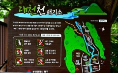 화명동 애기소 - 여행 등산방 - 월남전 참전자회 부산광역시 동래구지회 월남전 참전자회 부산광역시 동래구지회