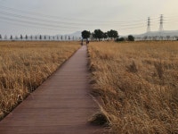 대부도 바다향기 테마파크 차박 - 캠핑 이야기 - 소산의살아가는이야기 대부도 바다향기 테마파크 차박