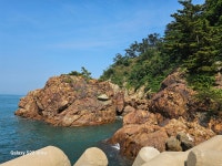 마도~신진도~안흥항~ 연포해수욕장 ~영목항 ~ 대천해수욕장 - 소산 여행기 - 소산의살아가는이야기 마도~신진도~안흥항~ 연포해수욕장 ~영목항... 