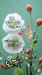 아침 소망 - 세상사는 이야기 - 향기나는 샘물 아침 소망