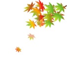 잃고, 얻고 - 세상사는 이야기 - 향기나는 샘물 잃고, 얻고