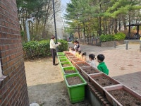 화랑어린이집에서 식목일을 맞아 씨앗을 심어보았어요🌱 - 화랑행사 및 견학 - 국공립 화랑어린이집 입니다. 화랑어린이집에서 식목일을 맞아... 