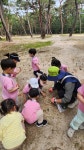화랑 어린이집에서 두 번째 숲 체험을 다녀왔어요🌲🌱 - 화랑행사 및 견학 - 국공립 화랑어린이집 입니다. 화랑 어린이집에서 두 번째 숲 체험을... 