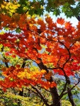 설악산울산바위 나들이길 - ★우리들! 살아가는 모습 - 계창초등학교제8회 설악산