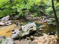 제169차 정기산행(2025.07.06)=동악산(곡성) - 정기산행=공지+예약 - 창원산내들산악회 제169차 정기산행(2025.07.06)=동악산(곡성)