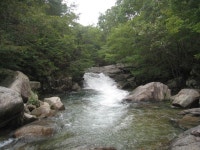 제169차 정기산행(2025.07.06)=동악산(곡성) - 정기산행=공지+예약 - 창원산내들산악회 제169차 정기산행(2025.07.06)=동악산(곡성)