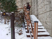 오늘도 산에 오릅니다. - 눈으로 담은 기억창고 - 오성회 친구들 오늘도 산에 오릅니다.