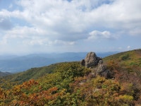 전라남도약사회 광양 백운산 산행기. - 회원 산행일지 - 목포녹색산악회 전라남도약사회 광양 백운산 산행기.