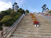 유달산, 양을산, 용라산, 입암산 산행기. - 눈으로 담은 기억창고 - 오성회 친구들 유달산, 양을산, 용라산, 입암산 산행기.