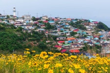 묵호 등대마을 - 사진 - 벧엘한의원 벧엘한의원