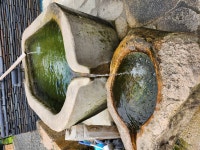 신흥사 산책 - 일반 게시판 - 현자백두산악회 신흥사 산책