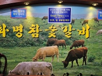 화명생태공원 산책 - 개인사진 - 깐숙이네 화명생태공원 산책