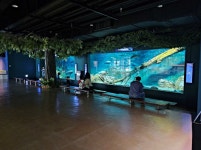 울진 민물고기 생태 체험관 - 개인사진 - 깐숙이네 울진 민물고기 생태 체험관