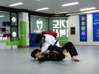 정왕동합기도 태호멀티짐 25.09.13 승단심사 - 합기도 승단 앨범 - 태호멀티짐(강호관) 합기도/킥복싱/특전사지원 정왕동합기도 태호멀티짐... 