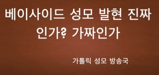 [가톨릭 성모 방송국] 베이사이드 성모님 발현 진짜인가? 가짜인가? / 베이사이드 홈페이지 메시지와 비교하고 자유의지로 결정하세요. - ◈ 교구... 