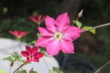 제135차/경기/가평/자라섬(2024.6.13) - 정기트레킹후기 - *산본여행스케치(트레킹)* *산본여행스케치(트레킹)*