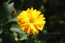 제135차/경기/가평/자라섬(2024.6.13) - 정기트레킹후기 - *산본여행스케치(트레킹)* *산본여행스케치(트레킹)*