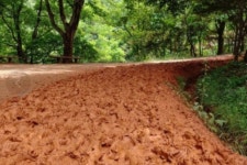 삼성산악회 8월3일 (일) 대전 계족산 황톳길 산행안내 - 산행일정 및 예약방 - 익산삼성산악회 삼성산악회 8월3일 (일) 대전 계족산 황톳길 산행안내