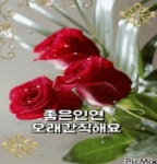 좋은인연 - ─…… 감동글♡향기글 - 중년의♡추억 좋은인연