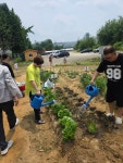 용인 시민농장 - 3회차 (수확 및 파종) - 26_자립생활주택 - 수지장애인자립생활센터 06.04 뿌린다! 거둔다! 용인 시민농장 - 3회차 (수확 및... 